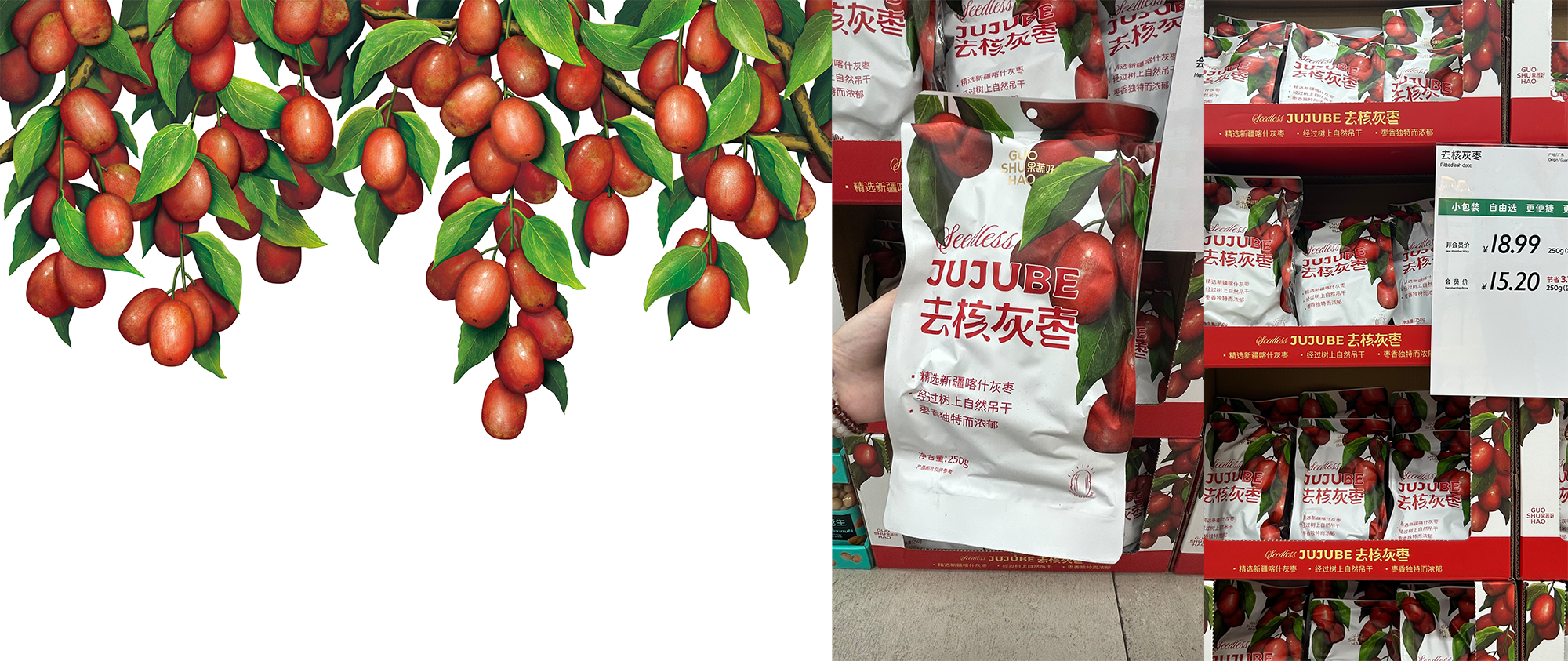 红枣插画